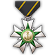 文件:Achieve medal icon 33 1.png