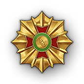 文件:Medal 144 1.png