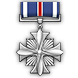 文件:Achieve medal icon 34 1.png