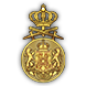 Achieve medal icon 40 2.png