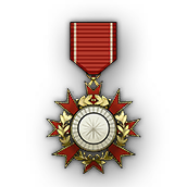 文件:Medal 119 1.png