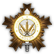 Achieve medal icon 42 2.png