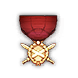 Achieve medal icon 64 2.png