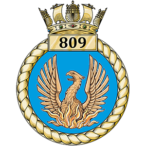 809-Squadron-Crest.png