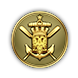 Achieve medal icon 48 2.png