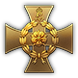Achieve medal icon 25 2.png