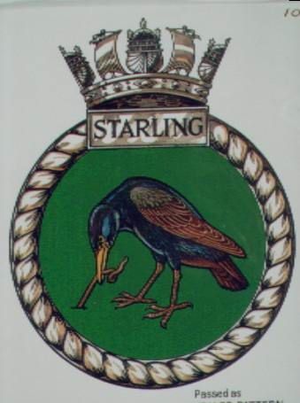 HMS Starling, Royal Navy