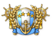 Self_info_badge9