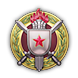 Achieve medal icon 32 2.png