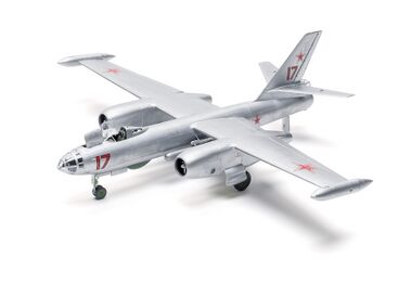IL-28T（模型）