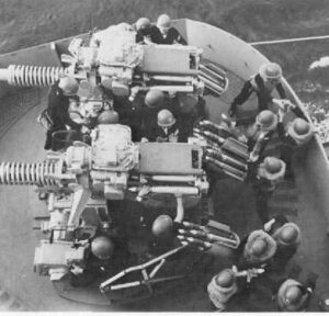 WNUS 3-50 1.jpg