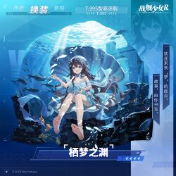 T.995换装“栖梦之渊”卫星图