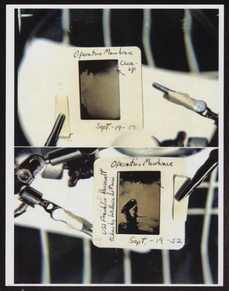 文件:Wallace Litwin photo.png