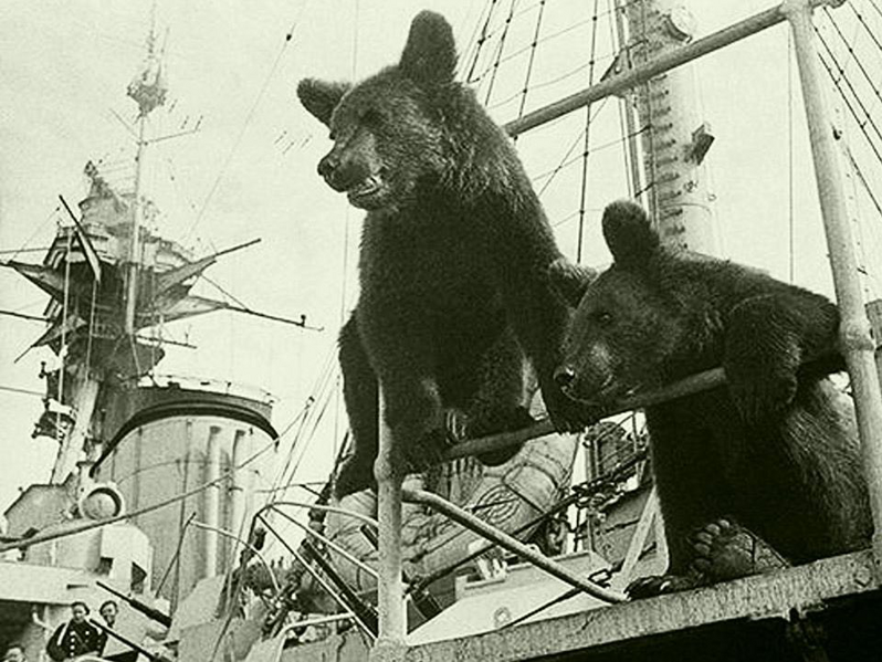 文件:Two bear on Arkhangelsk.png