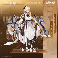 加尔各答卫星图