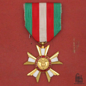 Tb image share 1738251043308.jpg.png