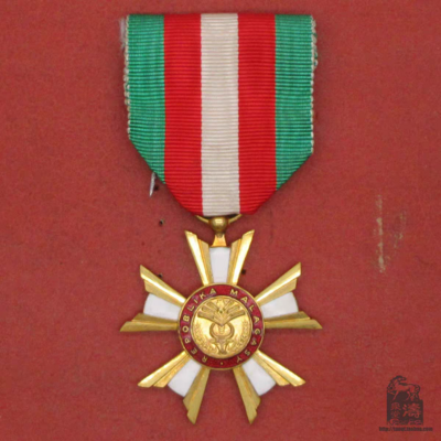 Tb image share 1738251043308.jpg