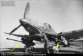 和P-39同时代的德国Ju-87G轰炸机，主要用于袭击坦克，双侧机翼各挂载一具37毫米BK-37机炮吊舱（黄色箭头所指）。该机为汉斯·鲁德尔之座机。