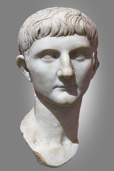 文件:1440px-(Toulouse) Portrait de Germanicus - Musée Saint-Raymond Ra 342 c.jpg