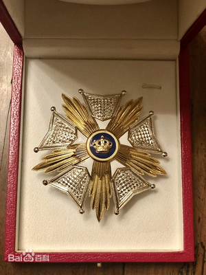 The Belgian Crown Medal.webp