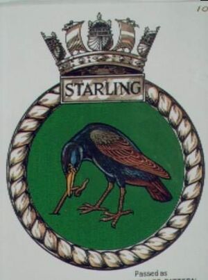 HMS Starling, Royal Navy.jpg