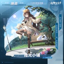 T.995换装“拾光小铺”卫星图